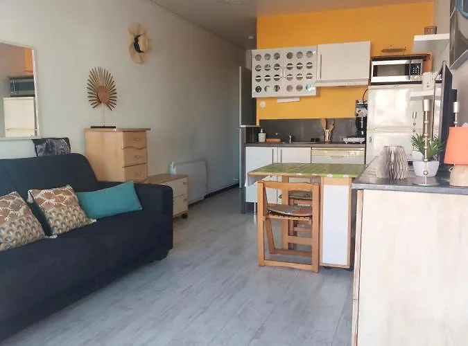 Proche De Tous Les Sites Et Commodites Lejlighed Canet-en-Roussillon